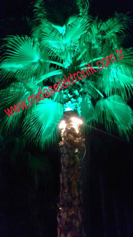  palmiye aydınlatma